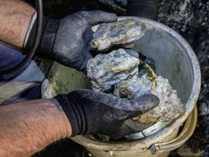 Spesimen Emas Terbesar Ditemukan Lagi di Australia Barat