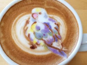 Cantiknya Kopi Berhias Latte Art Burung Warna-warni Karya Barista Jepang!