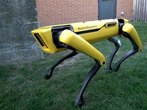 Robot Anjing yang Patroli Corona di Singapura Dijual Rp 1 Miliar