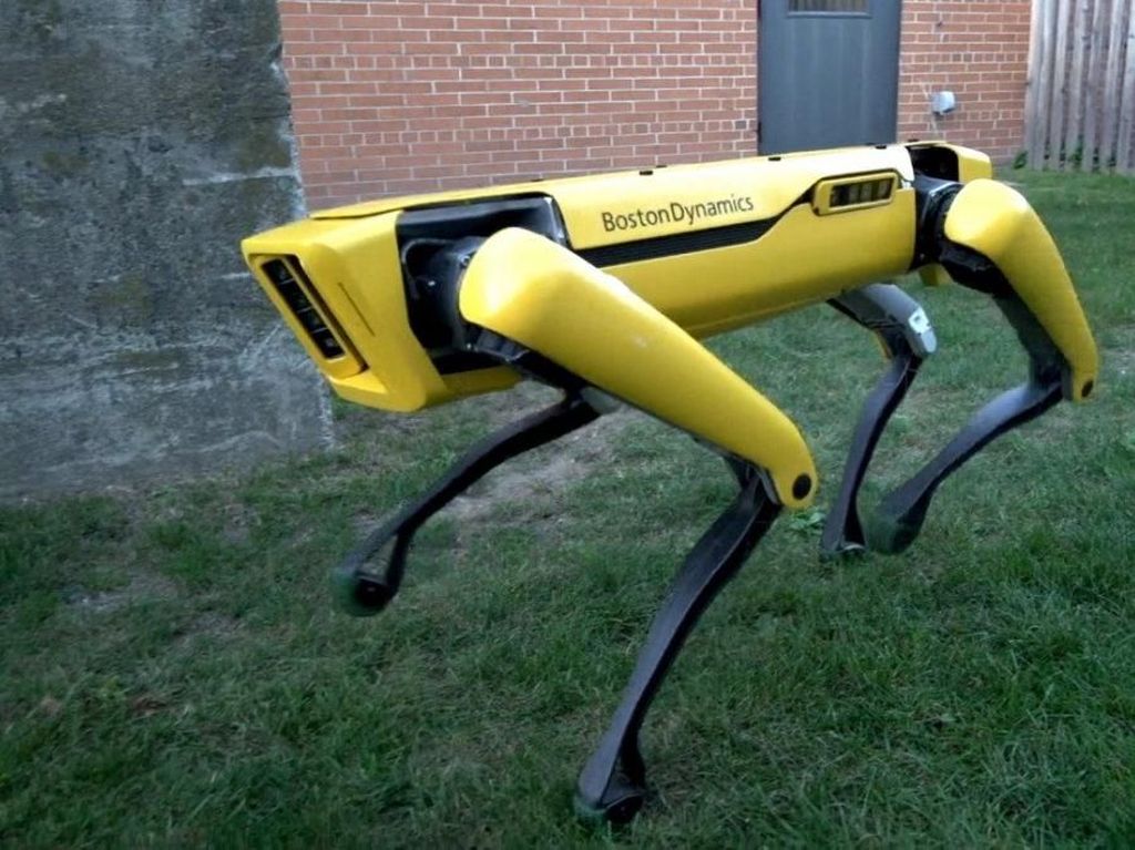 Pencipta Robot Anjing Dicaplok Hyundai Senilai Rp 12 Triliun Pencipta Robot Anjing Dicaplok Hyundai Senilai Rp 12 Triliun
