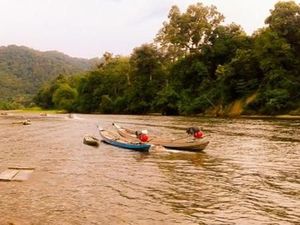 Hijaunya Alam Riau, Ini Bukit Rimbang dan Baling