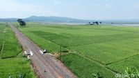 Terpesona Indahnya Pemandangan di Jalur Lingkar Ambarawa