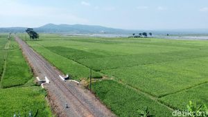 Terpesona Indahnya Pemandangan di Jalur Lingkar Ambarawa