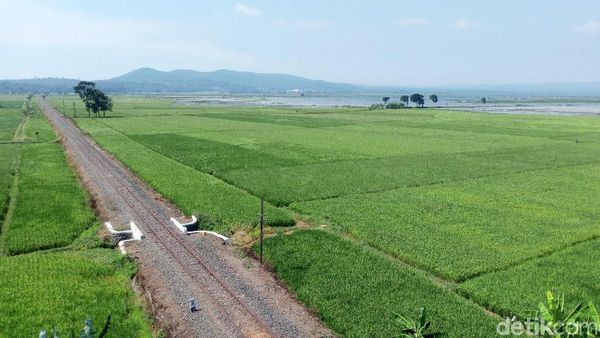 Terpesona Indahnya Pemandangan di Jalur Lingkar Ambarawa