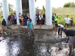 BKSDA Evakuasi Buaya 3 Meter yang Ditangkap Warga di Sumbawa
