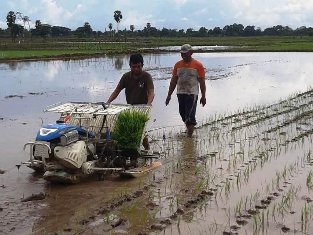 Pengelola Jasa Alsintan Raup Penghasilan Kotor Rp 45 Juta/Musim Panen Pengelola Jasa Alsintan Raup Penghasilan Kotor Rp 45 Juta/Musim Panen