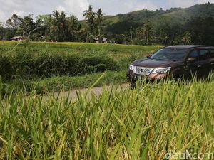 Kegagahan Nissan Terra Membelah Keindahan Sumatera