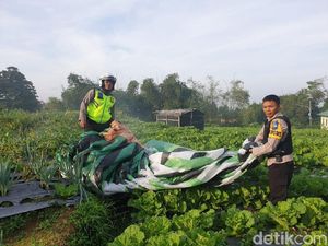 Enam Warga Wonosobo jadi Tersangka Penerbangan Balon Udara Liar