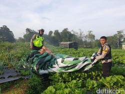 Enam Warga Wonosobo jadi Tersangka Penerbangan Balon Udara Liar