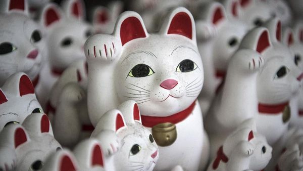 Maneki Neko, Si Kucing Pembawa Keberuntungan dari Jepang