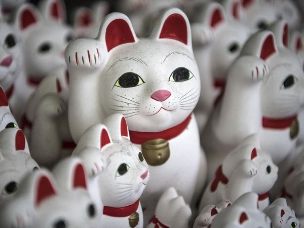 Maneki Neko, Si Kucing Pembawa Keberuntungan dari Jepang