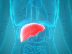Serba-serbi Penyakit Liver yang Harus Dipahami