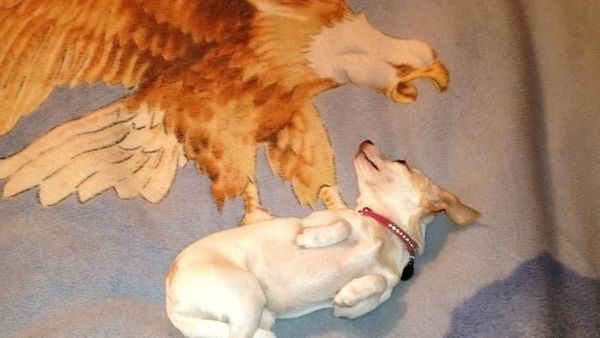 Cekrek! Foto-foto Kocak Hasil Jepretan pada Momen Tepat