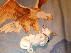 Cekrek! Foto-foto Kocak Hasil Jepretan pada Momen Tepat