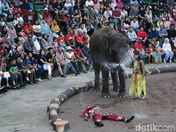 Saat Jaka Tarub Hibur Pengunjung Taman Safari Prigen di Libur Lebaran