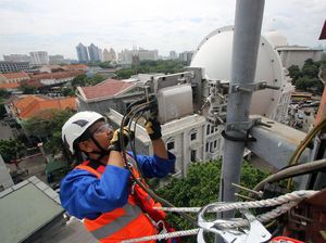 Kata XL Axiata Soal Sinyal yang Hilang Kata XL Axiata Soal Sinyal yang Hilang