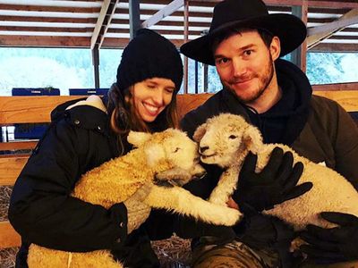 Kisah Cinta Chris Pratt dan Katherine di Kandang Domba hingga Menikah