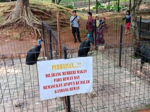 Viral Mini Zoo di Cilodong Depok Kotor, Kostrad Beri Penjelasan