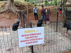 Viral Mini Zoo di Cilodong Depok Kotor, Kostrad Beri Penjelasan