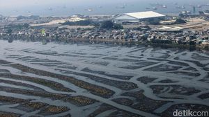 Waduk Pluit Alami Pendangkalan, Begini Kondisinya