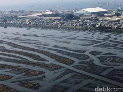 Waduk Pluit Alami Pendangkalan, Begini Kondisinya