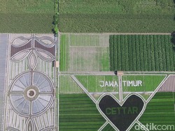 Sejumlah Fasilitas Penunjang Masih Diperlukan Untuk Crop Circle Kediri