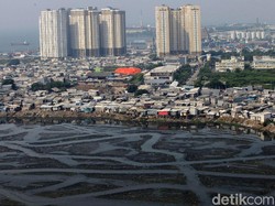 Anies soal Pendangkalan Waduk Pluit: Bukan karena Tak Dirawat