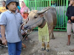 Tradisi Pesta Lomban, Cara Warga Jepara Rayakan Lebaran Kupat