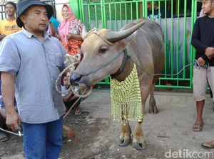 Tradisi Pesta Lomban, Cara Warga Jepara Rayakan Lebaran Kupat Tradisi Pesta Lomban, Cara Warga Jepara Rayakan Lebaran Kupat