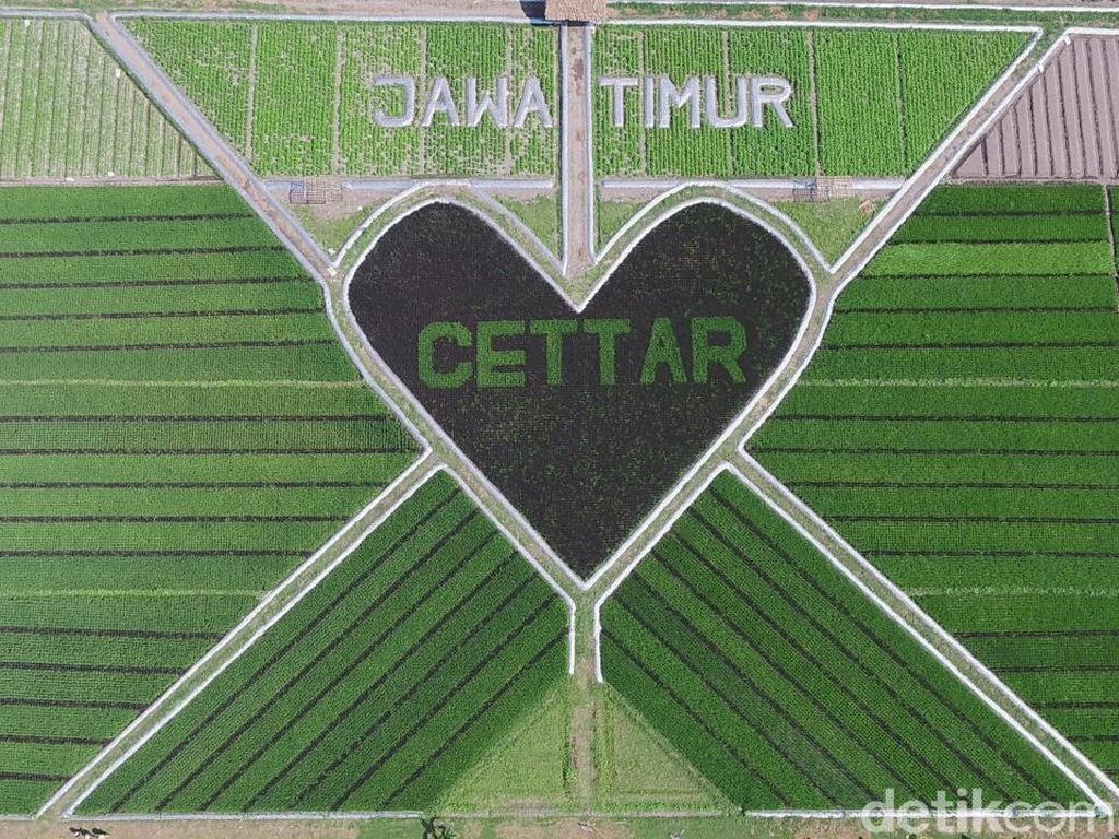 Crop Circle Kediri: Keren Buat Wisata, Bagus Juga Buat Petani Crop Circle Kediri: Keren Buat Wisata, Bagus Juga Buat Petani