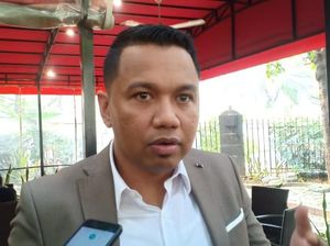 Cerai dari Kalina Oktarani, Insank Nasruddin Gandeng Nathalie Holscher? Cerai dari Kalina Oktarani, Insank Nasruddin Gandeng Nathalie Holscher?
