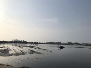 Berharap Waduk Pluit Dibenahi Jadi Objek Wisata, Warga Teringat Ahok