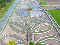 Khofifah Promosi Wisata Crop Circle di Kediri