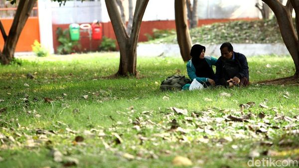 Menikmati Sore di Kawasan Taman Waduk Pluit