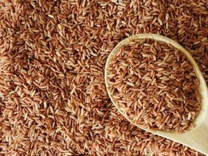 Nasi Jagung, Nasi Merah dan Thiwul, Mana yang Paling Rendah Kalori? Nasi Jagung, Nasi Merah dan Thiwul, Mana yang Paling Rendah Kalori?