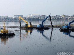 Waduk Pluit Alami Pendangkalan, Warga Keluhkan Bau Tak Sedap