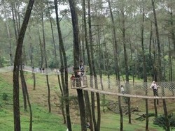 Yang Segar di Bandung, Ada Orchid Forest Cikole