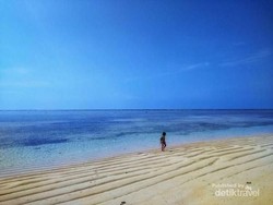 Primadona Baru di Raja Ampat, Pulau Bonbedar