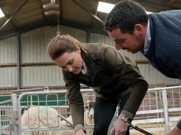 Foto: Gaya Stylish Kate Middleton saat Cukur Bulu Domba, Jaketnya Rp 5 Juta