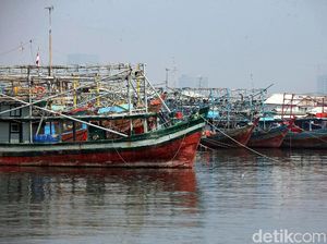 Nelayan Muara Angke Mulai Melaut