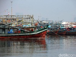 Dipermudah, Urus Izin Kapal Ikan Nanti Hanya ke KKP