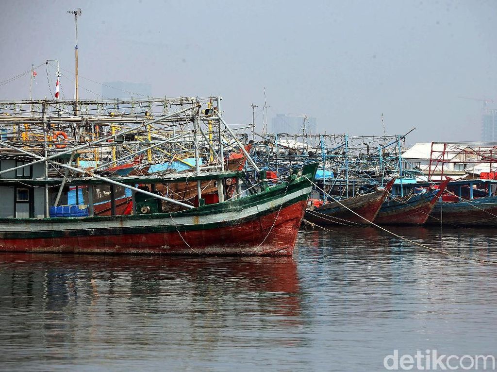 Dipermudah, Urus Izin Kapal Ikan Nanti Hanya ke KKP Dipermudah, Urus Izin Kapal Ikan Nanti Hanya ke KKP