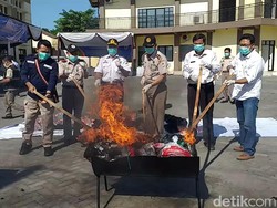 Komoditas Pertanian Berbahaya Senilai Rp 286 Juta Dimusnahkan