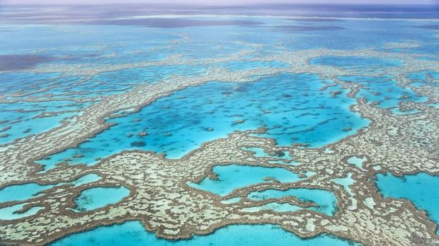 Pemandangan udara dari Great Barrier Reef di Australia