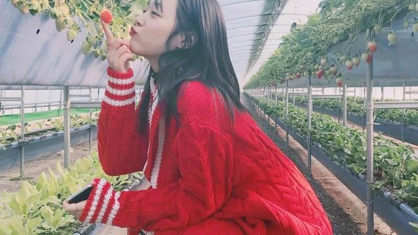 Gaya Kuliner Penyanyi Kpop Sulli yang Akan Rilis Lagu Solo Pertama