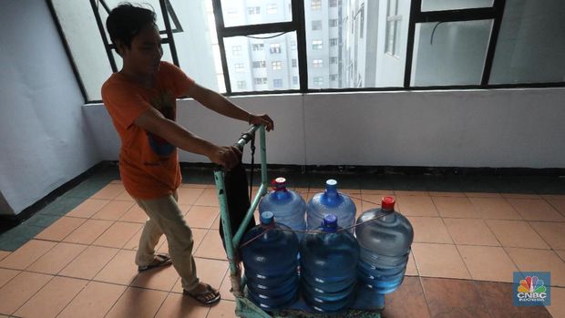 Pedagang air galon membawa galon nan sudah diisi penuh untuk dijual ke penduduk apartemen di Kawasan Pluit, Jakarta, Rabu (12/6). Banyak penunggu apartemen di area tersebut menggunakan air galon isi ulang untuk mandi. Mumun seorang pembantu rumah tangga mengatakan majiakannya bisa menkonsumsi air galon sehari 4-5 galon untuk mandi dan cuci piring. Harga galon isi ulang dia beli seharga Rp 3500 nan berasal dari air pam, Rp 7000 untuk galon isi ulang untuk galon original Rp.20.000. Banyak penunggu apartmen menggunakan air galon lantaran air nan mereka tempati kadang aroma dan kotor. (CNBC Indonesia/Muhammad Sabki)