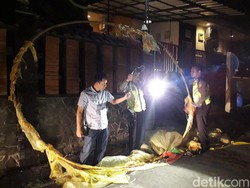 Balon Udara Liar Timpa Rumah dan Kabel Listrik di Sleman