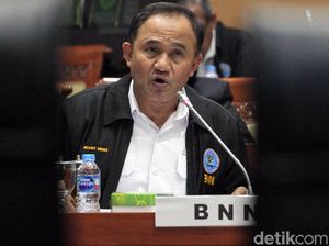 Dibandingkan dengan Polisi dalam Penangkapan Kasus Narkoba, Ini Kata BNN Dibandingkan dengan Polisi dalam Penangkapan Kasus Narkoba, Ini Kata BNN