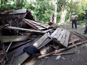 Cot Girek akan Dijadikan Ekosistem Esensial Gajah di Aceh