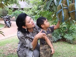 Momen Berkebun Mendiang Ibu Ani dan Resto Dengan Tetesan Darah